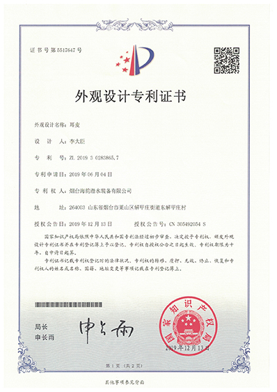 SEAM Patent Certificate