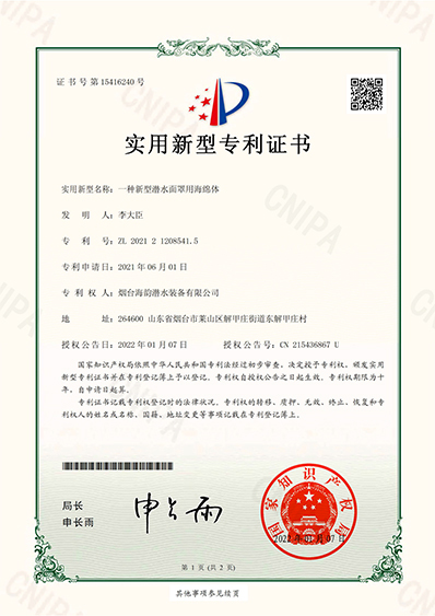 SEAM Patent Certificate