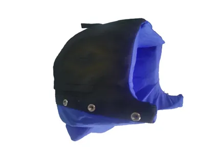 Head Cushion Assembly