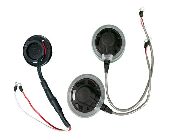 Earphone and Speaker